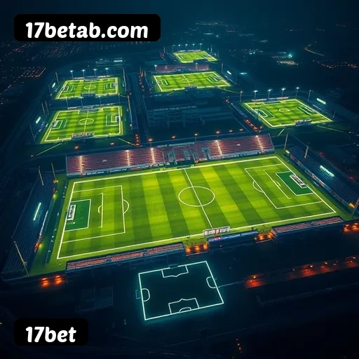 Recursos Exclusivos do App 17bet - Modo Offline, Login Biométrico